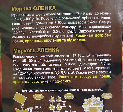 Морква Оленка 20г, фото 3