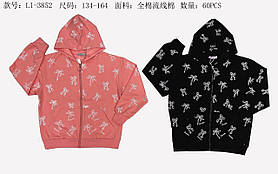 Пайта для дівчаток оптом, Sincere, 134-164 pp.,  № LL-3852