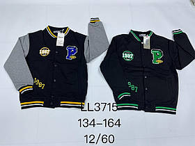 Пайта для хлопчика оптом, Sincere, 134-164 см,  № LL-3715