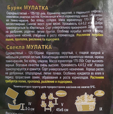 Буряк МУЛАТКА 20 г., фото 3