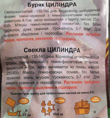 Буряк ЦИЛІІНДРА 3 г., фото 3