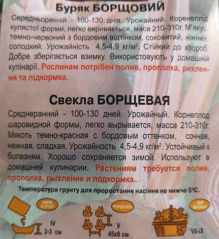 Буряк БОРЩОВИЙ 3 г., фото 3