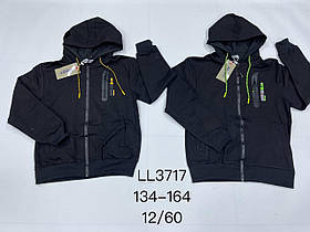 Пайта для хлопчика оптом, Sincere, 134-164 см,  № LL-3717