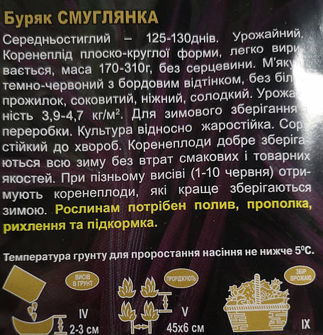 Буряк Смугоянка 20 г., фото 3