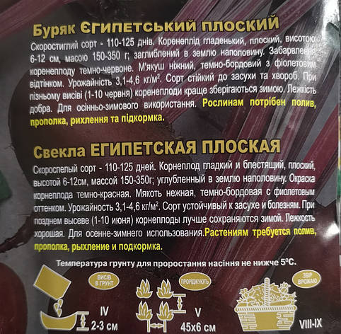 Буряк Єгипетський плоский 20г., фото 3