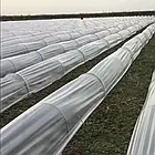 Мульча для Кавуна на плівці прозора 1.2 м х 1000м (30 мкм), фото 5