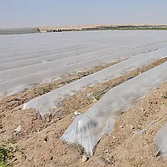 Мульча для Кавуна на плівці прозора 0.75 м х 1000м (30 мкм)