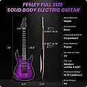 Електрогітара Fesley FDK800 PPL (комплект), фото 3