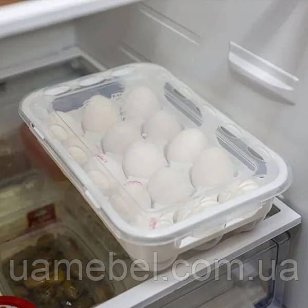 Пластиковий органайзер для 15 яєць ORG-31