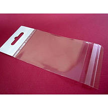 Пакет А4 ПП 240*320/3 (100 шт/уп) поліпропіленовий з єврослотом та клейкою стрічкою на клапані, Пакет А4 для пакування, фото 3