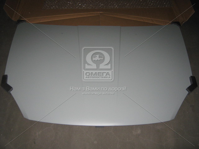 Капот CHERY ELARA 06-11 (ви-во TEMPEST) 015 0100 280C UA58
