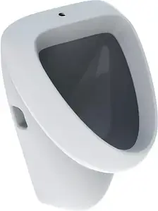 Кухонна мийка Geberit Aller 236600000