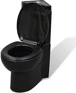 Унітаз-компакт VidaXL 141134