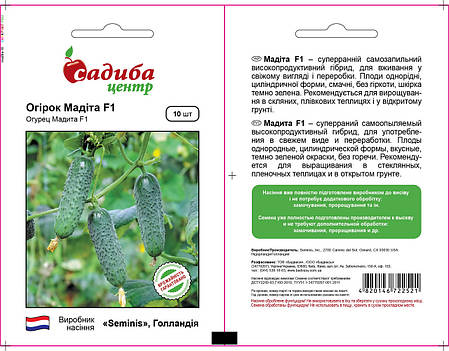 Насіння огірка Мадіта F1 (Seminis, САДИБА ЦЕНТР), 10 насіння — ультрараний гібрид (40-45 днів), партенокарпік , фото 3