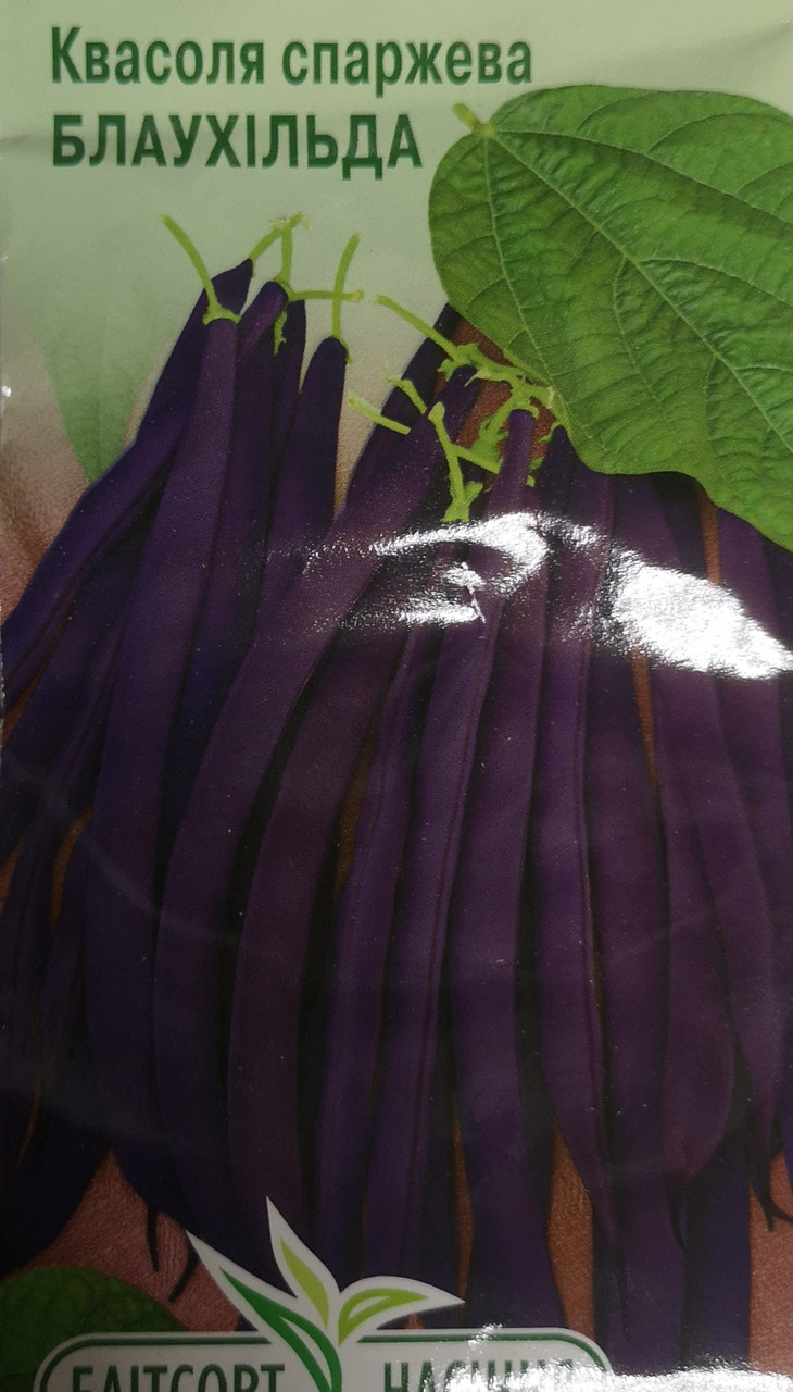 Квасоля спаржева Блаухільда 12шт