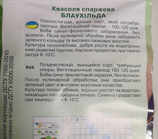 Квасоля спаржева Блаухільда 12шт, фото 3