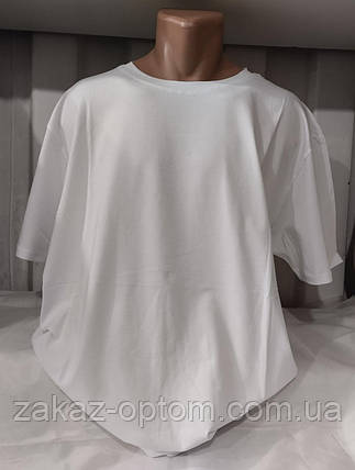 Футболка чоловіча норма гуртом (2XL-6XL) Туреччина-131550, фото 1