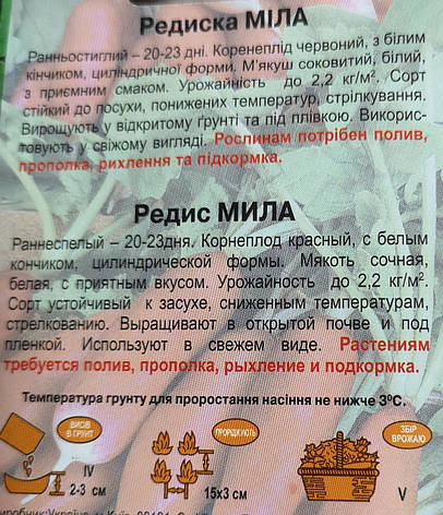 Редиска Міла 3г, фото 3
