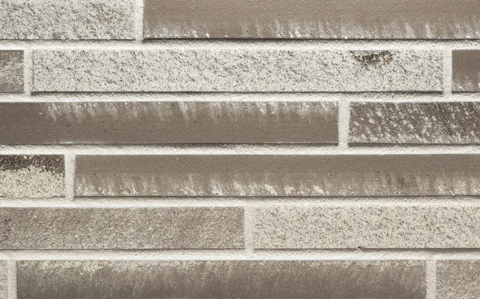 Клінкерна плитка Dolomite brick (LF22)