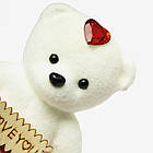 Подарунковий набір Ведмедик з мильними трояндами + Подарунок Кулон з ланцюжком і проекцією / Подарунок дівчині, фото 5