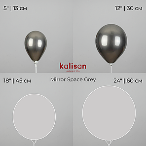 KALISAN-КЛ 12" 109 Хром Сірий | Mirror Space Grey, фото 4