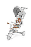 Дитячий триколісний велосипед Caretero (Toyz) Faro Grey, фото 3