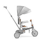 Дитячий триколісний велосипед Caretero (Toyz) Faro Grey, фото 5