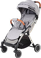 Коляска для дитини прогулянкова FreeON Nano, grey