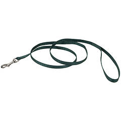 Coastal Nylon Leash КОСТАЛ НАЙЛОН повідець для собак, 1смХ1.2м