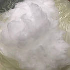 Лебедячий аеропух (ЛЕБЯЖКА), фото 3