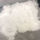 Лебедячий аеропух (ЛЕБЯЖКА), фото 5