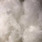 Лебедячий аеропух (ЛЕБЯЖКА), фото 2