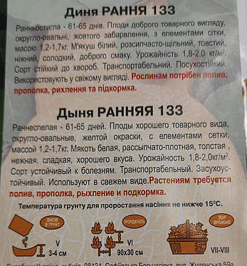 Диня РАННЯ 133 2г., фото 4