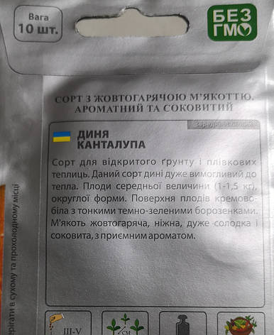 Довжина Канталупа 10 шт., фото 3