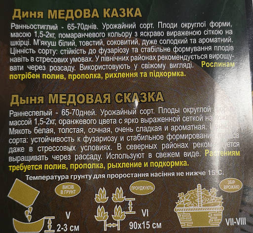 Диня Медова казка 10г, фото 3