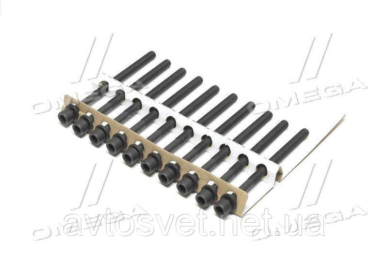 Болт головки циліндрів (компл.) 10 шт. Hyundai IONIQ -23, Kia RIO IV 17- (вир-во Jakoparts) J1280520 (Kr)