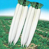 Редька Мiно Ерлі Лонг Вайт F1 NWB, 10 000 шт
