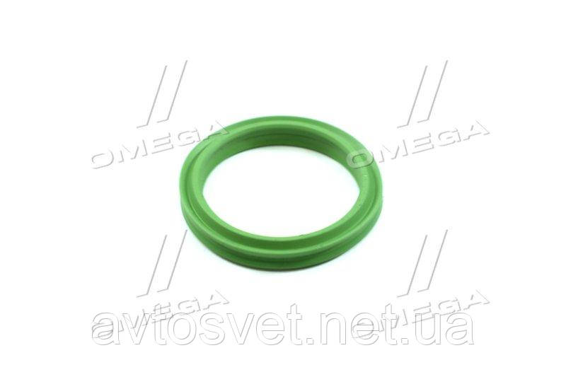 Кільце ущільнююче, шланг наддувного повітря RENAULT 2,3 dCi M9T 10- (вир-во Elring) 117.000 (Kr)