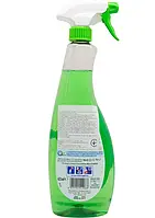 Засіб для миття скла Chante Clair Vert Glassreninger Vetru Spray, 625 мл, фото 3