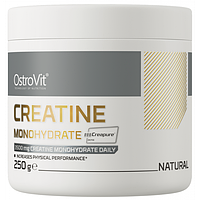 Creatine Monohydrate Creapure OstroVit, 250 грам (без смаку)