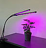 Фітолампа світлодіодна для рослин, 2 гілки, з таймером, фото 7