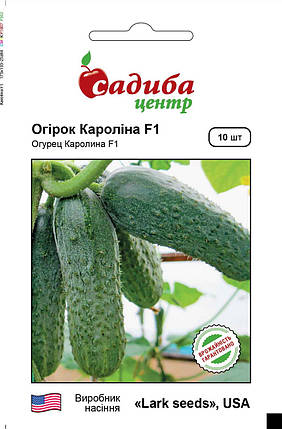 Кароліна F1 огірок (Lark Seeds), 10 насіння — ранній гібрид (45 днів), партенокарпік (до 2020), фото 3