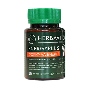 EnergyPlus Формула енергії АІМ