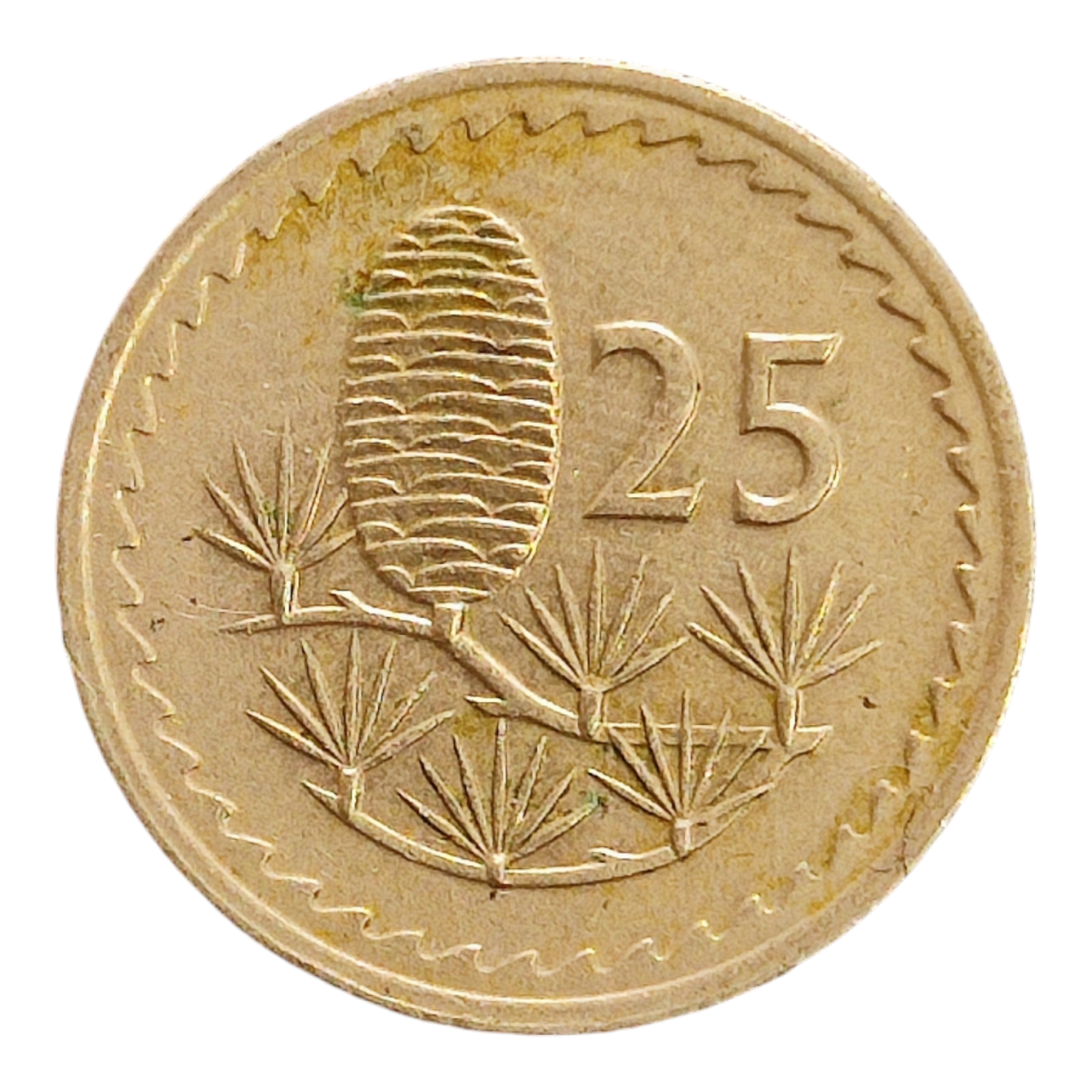 Кіпр 25 міль, 1976