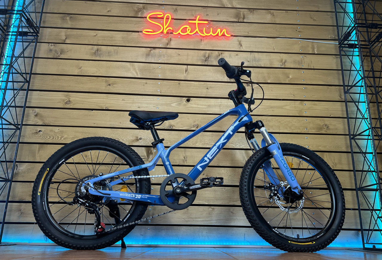 Дитячий велосипед 20" Corso Next NX-20110 синій на рост 110-125 см