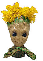 Кашпо з жовтим стабілізованим мохом Грут G3