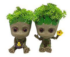 Комплект горщиків Грут Groot Малюки G7 і G6 зі стабілізованим мохом