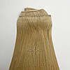 Натуральне Слов'янське Волосся на Заколках 55-60 см 110 грам, Блонд №22B, фото 5