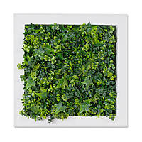 Фітокартина Engard "Тропічний плющ", 53х53 см (FP-32)
