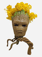 Кашпо з жовтим стабілізованим мохом Грут-павук